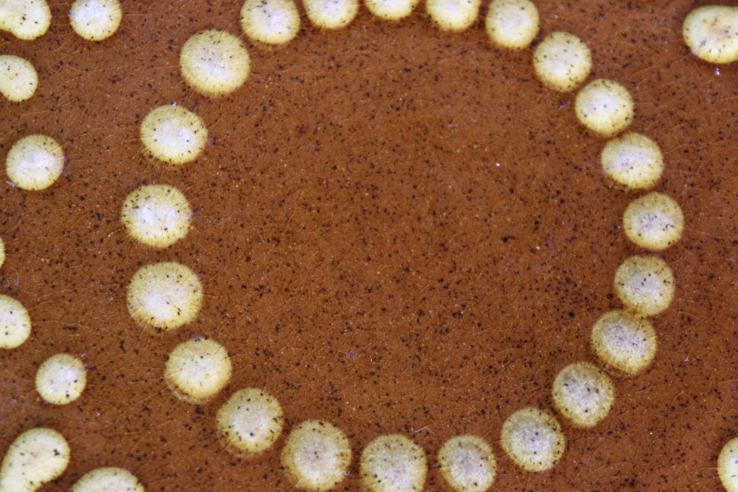 Country style amber ceramic plate - View 3