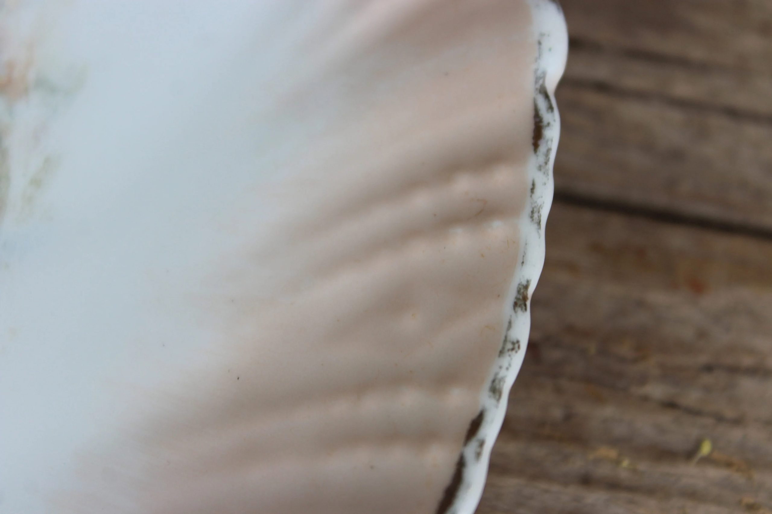 Victorian-era vintage couple ceramic plates - View 3