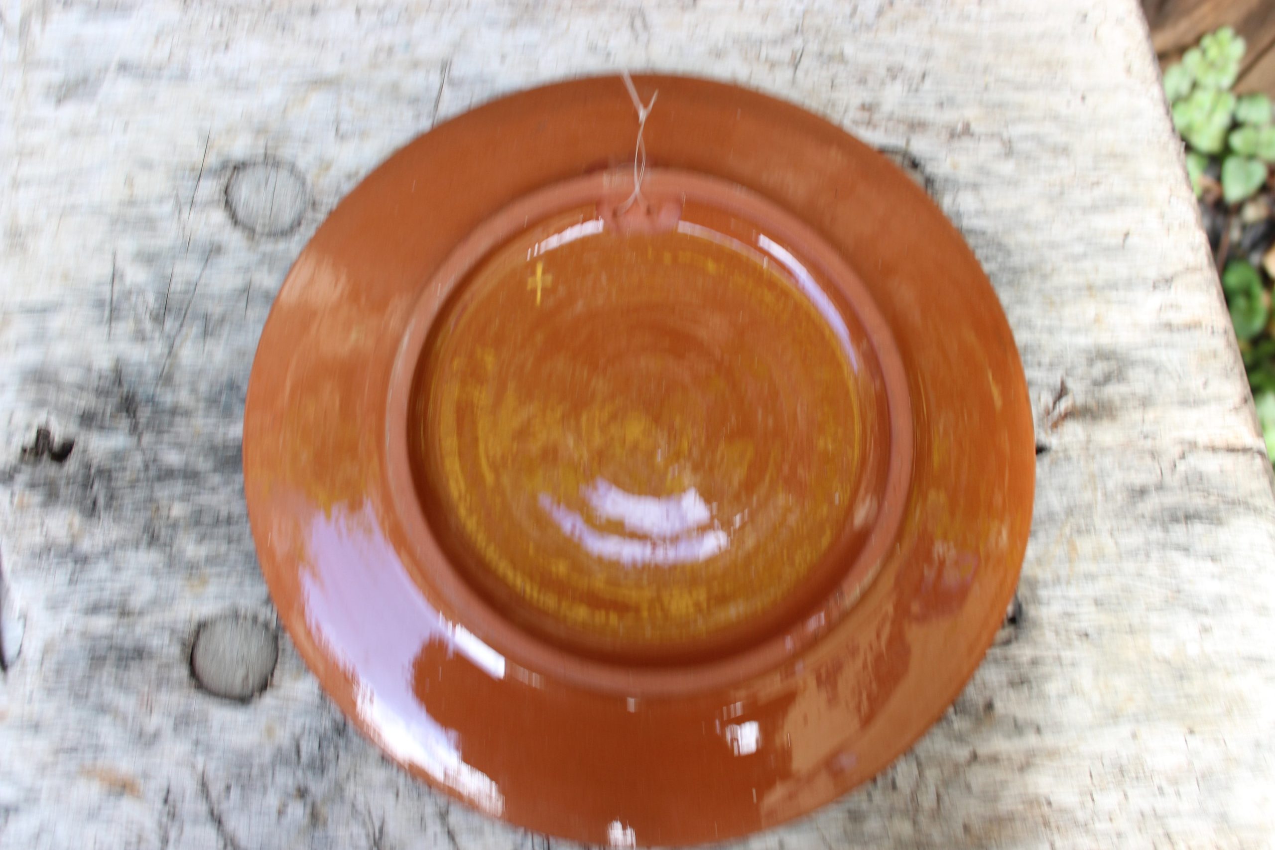 Blue Folk Art Floral Ceramic Plate - View 3